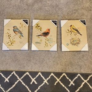 Bird Trio Paintings
